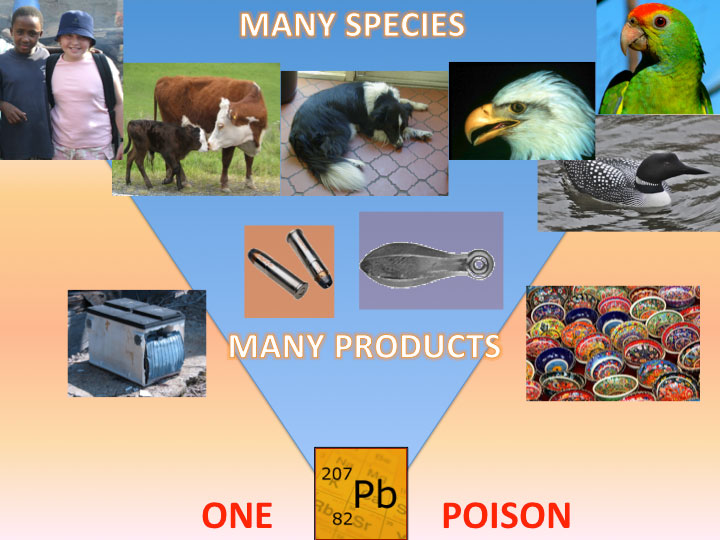  Many Species, One Poison